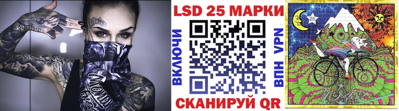 дарк нет телеграм  цена   Вытегра  Марки N-bome 1,8мг 