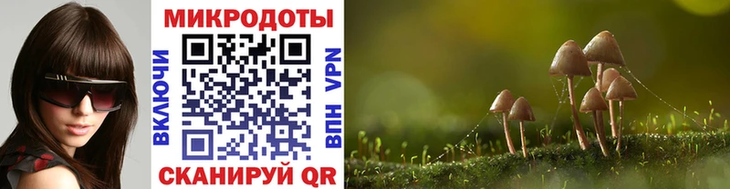 Галлюциногенные грибы Cubensis  дарнет шоп  Вытегра 